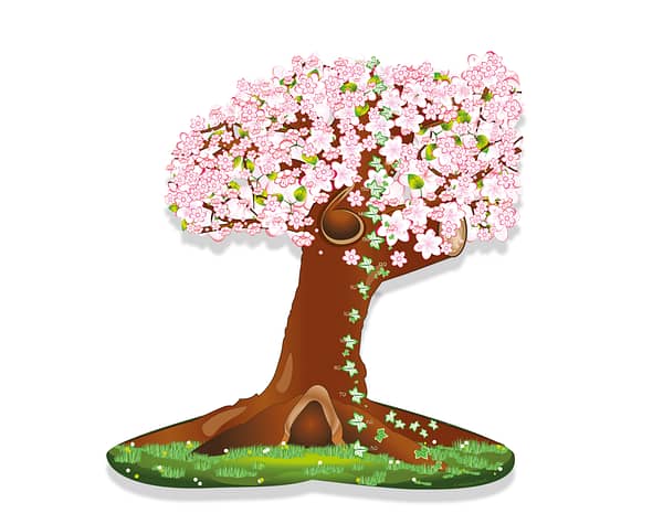 lenteboom met groeimeter